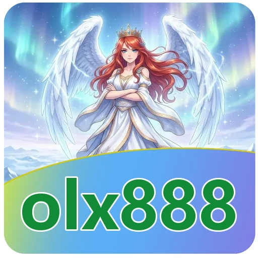 Troubleshooting olx888